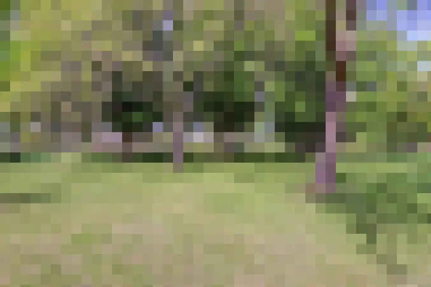 Korenmolen 73 Vianen thumbnail 45