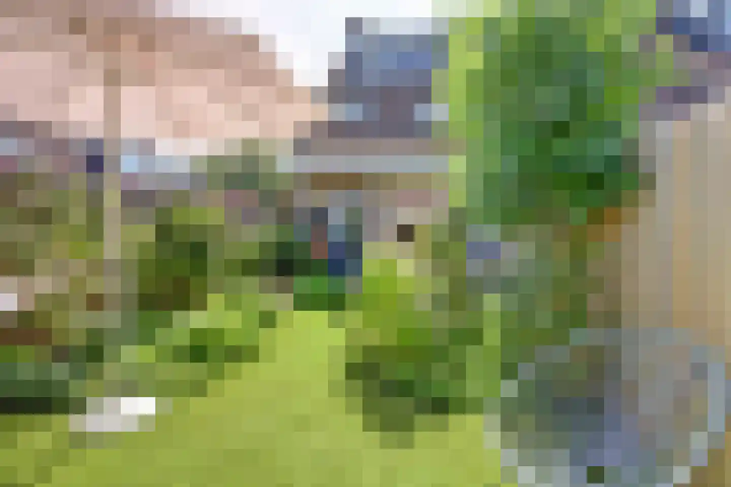 Korenmolen 73 Vianen thumbnail 5