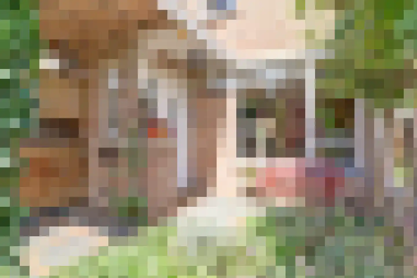 Korenmolen 73 Vianen thumbnail 6