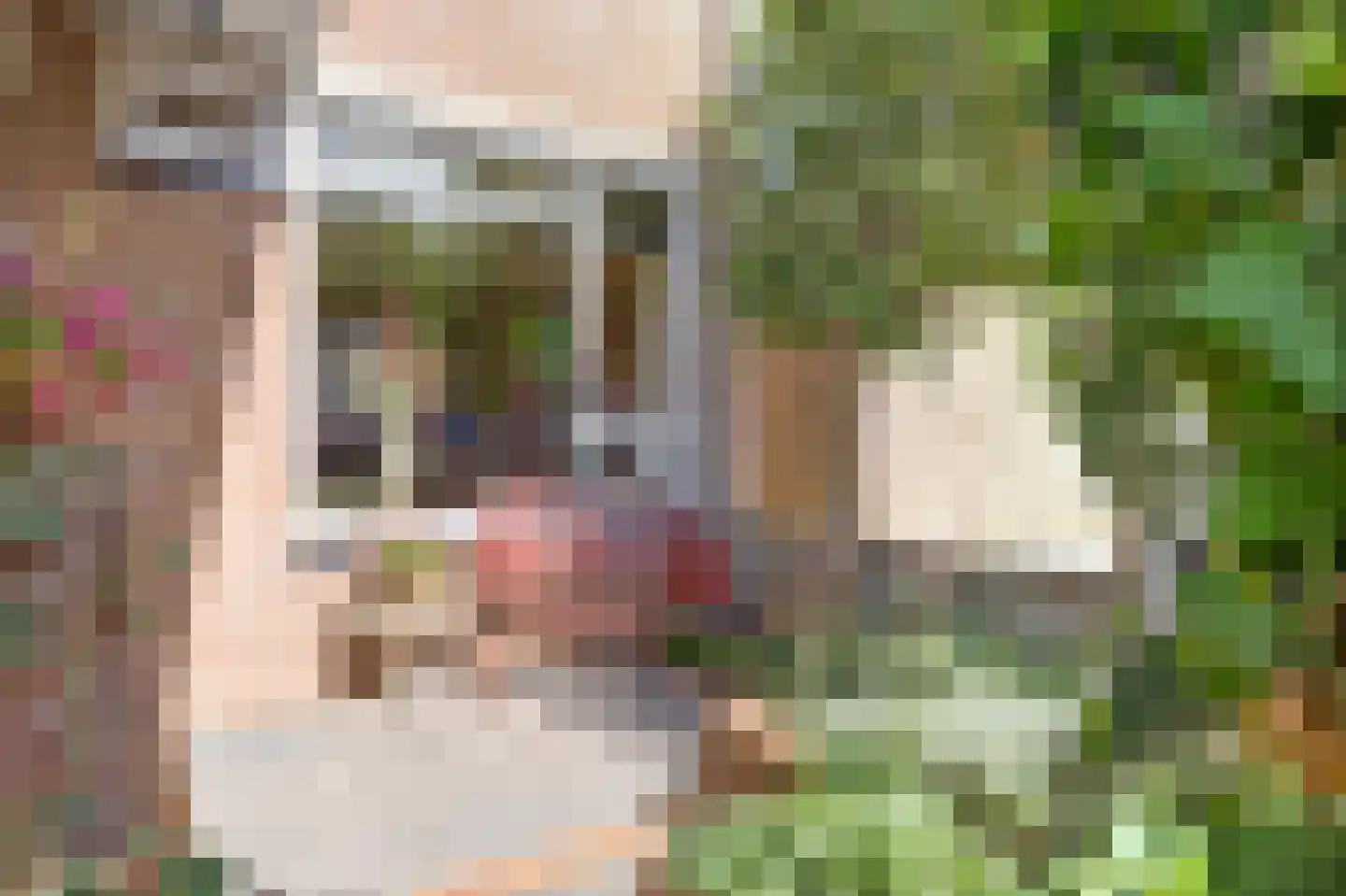 Korenmolen 73 Vianen thumbnail 7