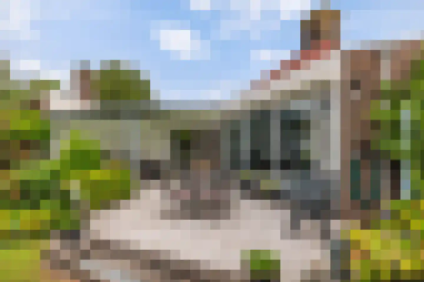 Korenmolen 74 Harmelen thumbnail 30