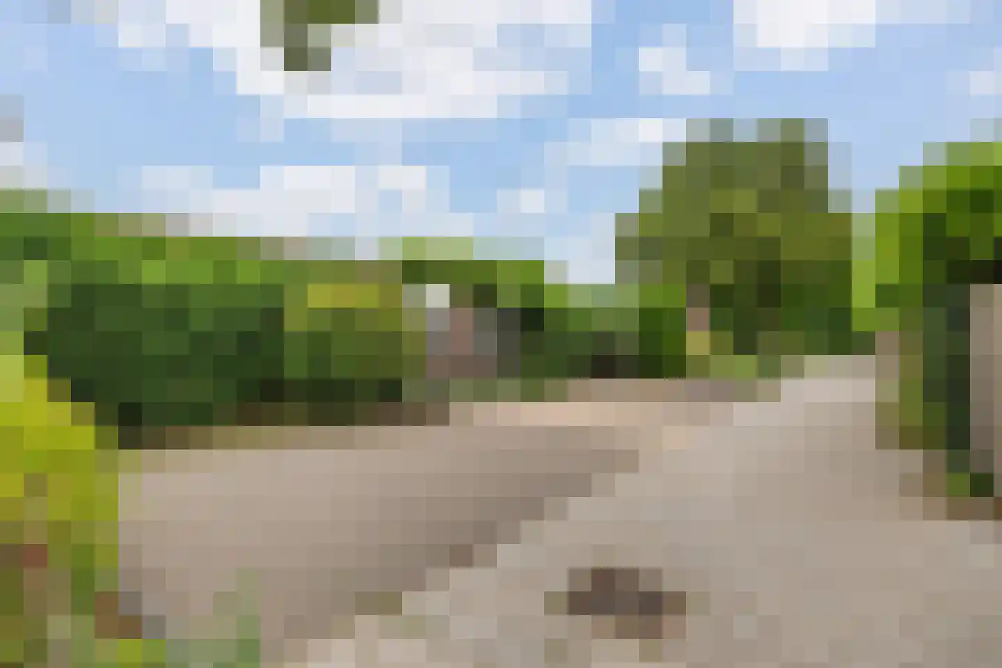 Korenmolen 74 Harmelen thumbnail 4