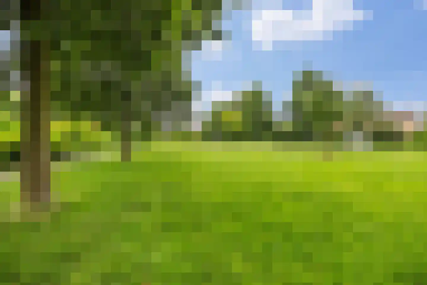 Korenmolen 74 Harmelen thumbnail 45