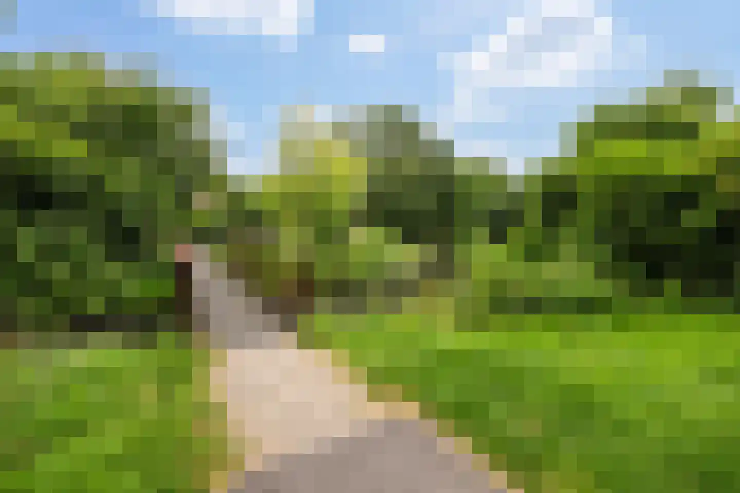 Korenmolen 74 Harmelen thumbnail 46
