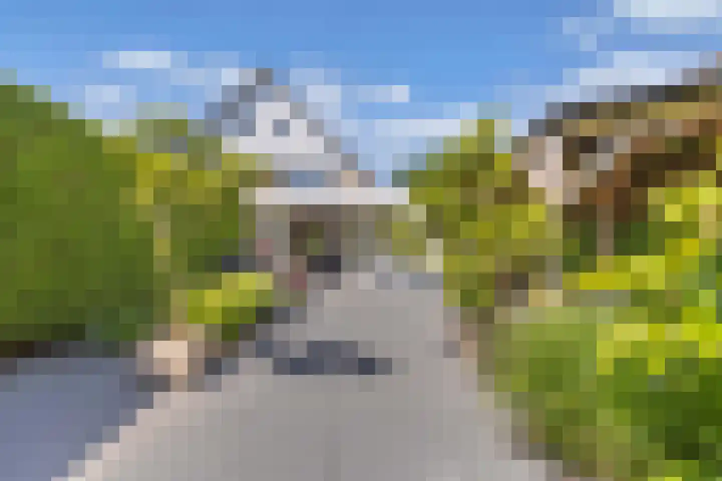 Korenmolen 80 Drachten thumbnail 40