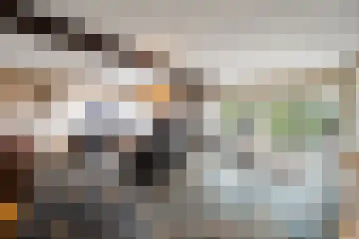 Korenmolen 9 Schagen thumbnail 12