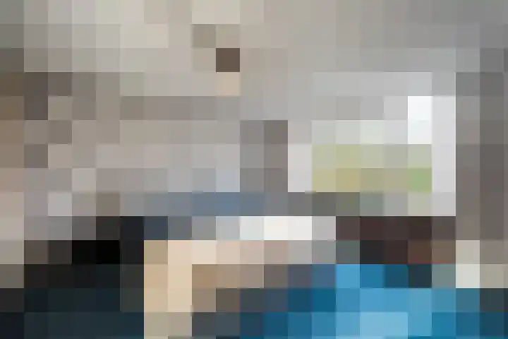 Korenmolen 9 Schagen thumbnail 20