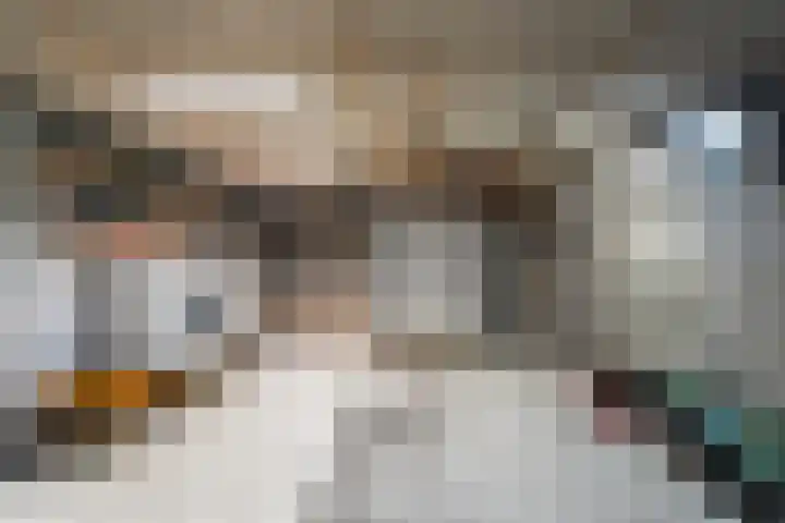 Korenmolen 9 Schagen thumbnail 27