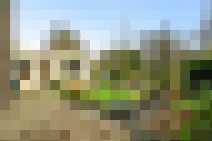 Korenmolen 9 Schagen thumbnail 29