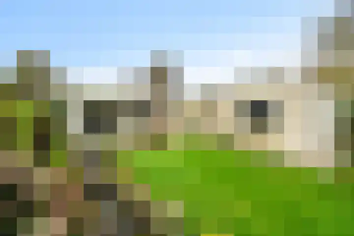 Korenmolen 9 Schagen thumbnail 30