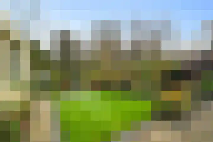 Korenmolen 9 Schagen thumbnail 31