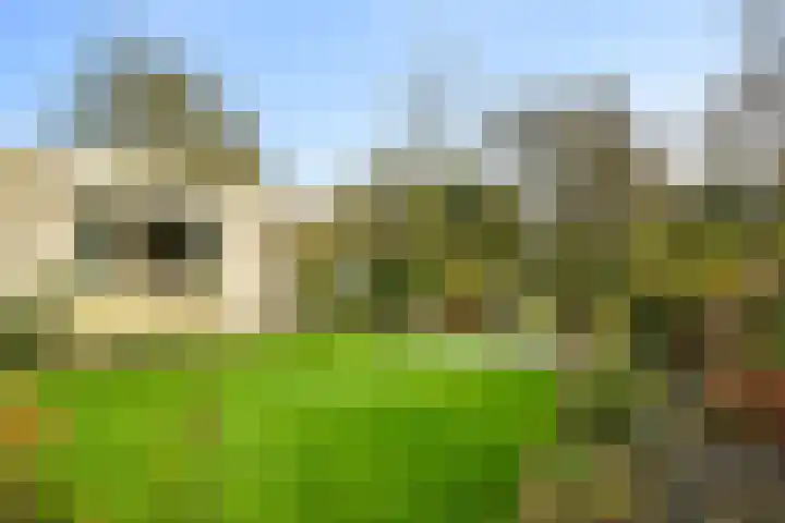 Korenmolen 9 Schagen thumbnail 32