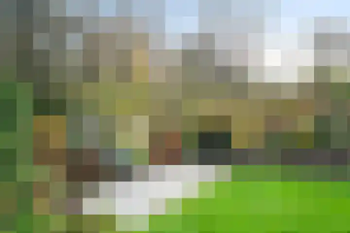 Korenmolen 9 Schagen thumbnail 33