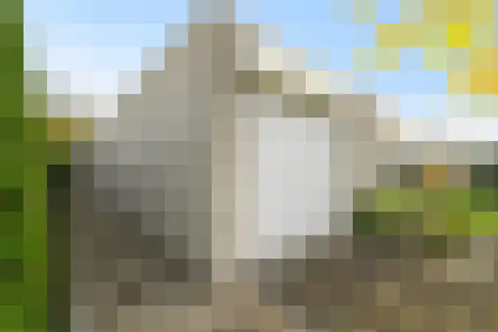 Korenmolen 9 Schagen thumbnail 35