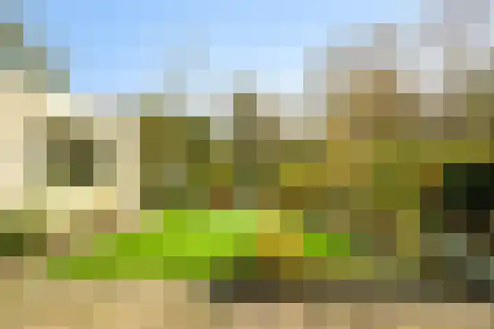 Korenmolen 9 Schagen thumbnail 36