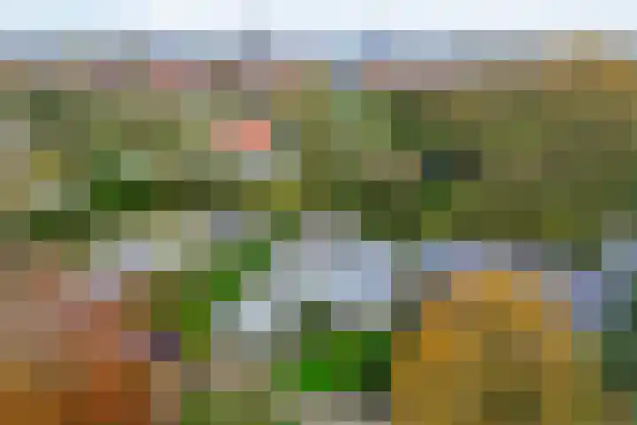 Korenmolen 9 Schagen thumbnail 37