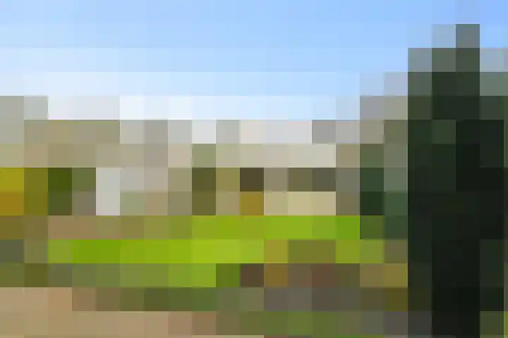 Korenmolen 9 Schagen thumbnail 4