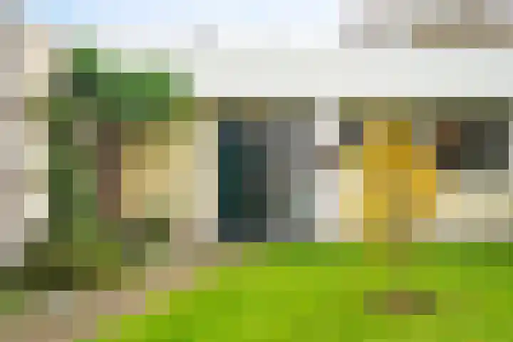 Korenmolen 9 Schagen thumbnail 5