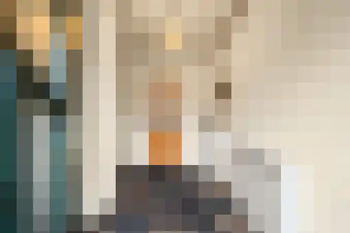 Korenmolen 9 Schagen thumbnail 6