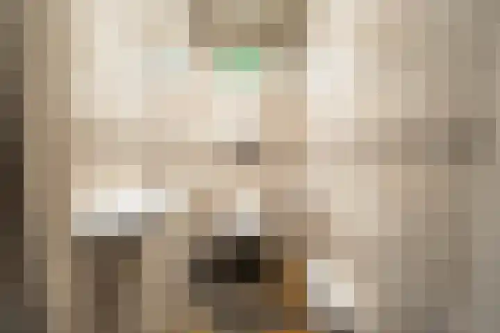 Korenmolen 9 Schagen thumbnail 8
