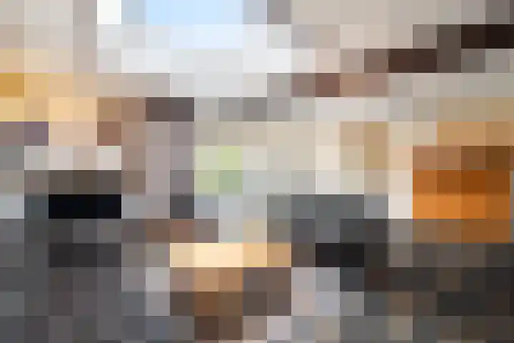 Korenmolen 9 Schagen thumbnail 9