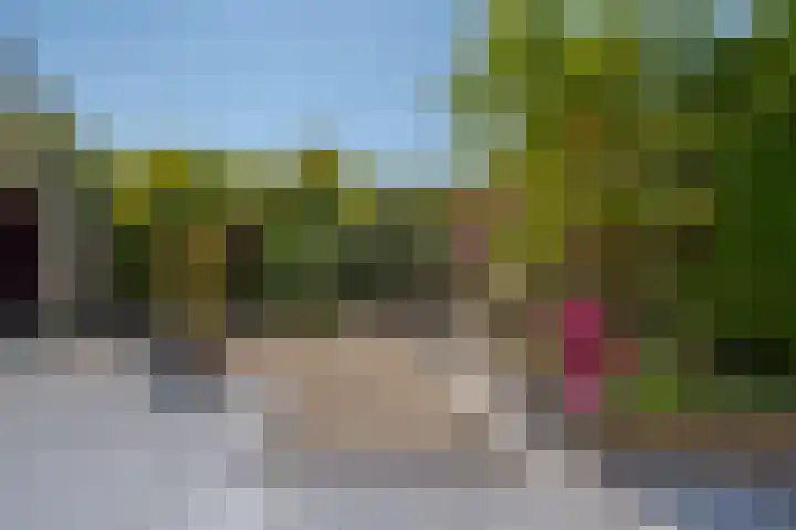 Korenmolen 93 Drachten thumbnail 31