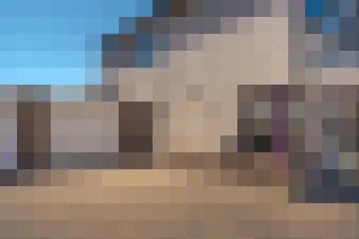 Korenmolen 93 Drachten thumbnail 8