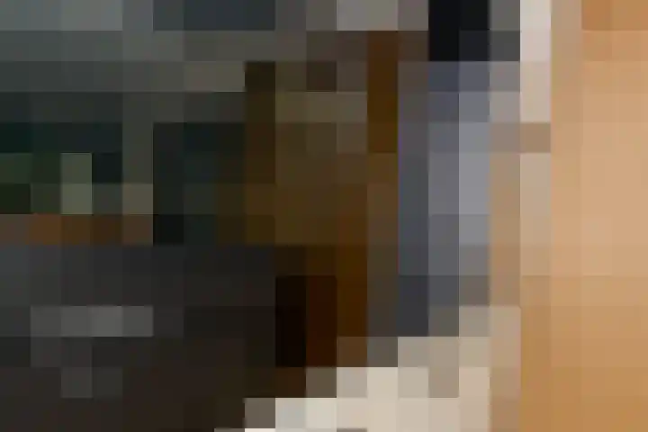 Korenmolen 98 Drachten thumbnail 17