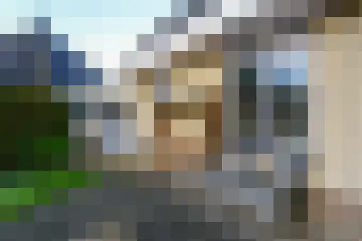 Korenmolen 98 Drachten thumbnail 51