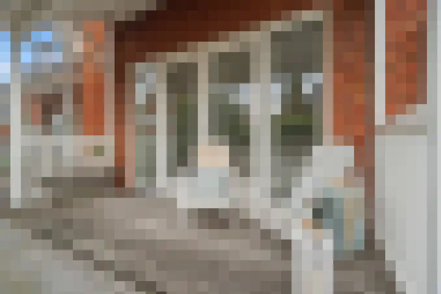Korenmolenlaan 4 IJsselstein thumbnail 12