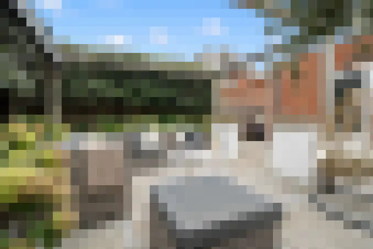 Korenmolenlaan 4 IJsselstein thumbnail 37