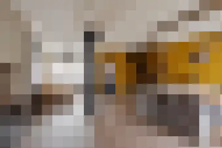 Korenmolenlaan 41 Bovenkarspel thumbnail 11