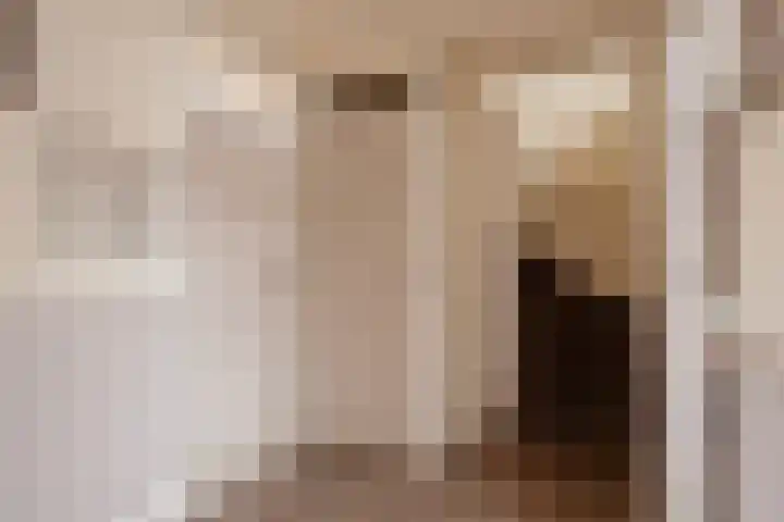 Korenmolenlaan 41 Bovenkarspel thumbnail 14