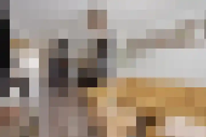 Korenmolenlaan 41 Bovenkarspel thumbnail 8