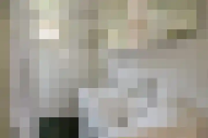 Korenmolenlaan 54 Bovenkarspel thumbnail 23