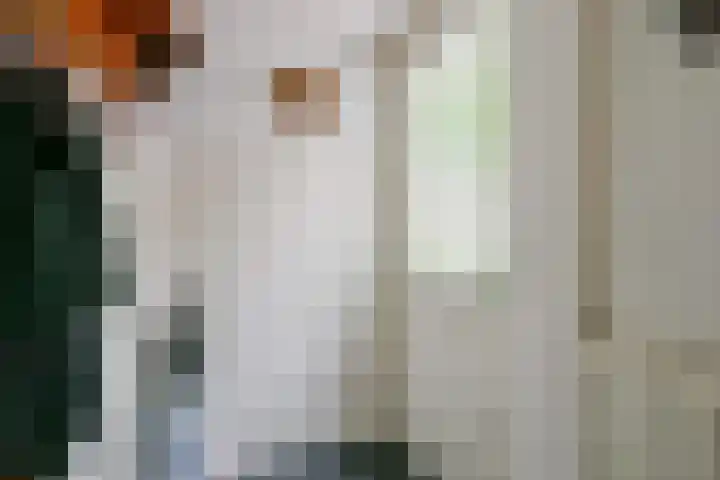 Korenmolenlaan 54 Bovenkarspel thumbnail 28
