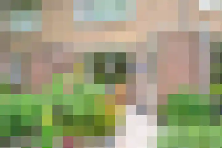 Korenmolenlaan 54 Bovenkarspel thumbnail 29