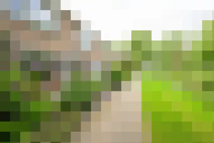 Korenmolenlaan 54 Bovenkarspel thumbnail 30
