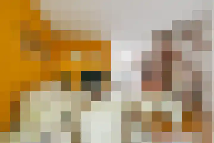 Korenmolenlaan 54 Bovenkarspel thumbnail 6