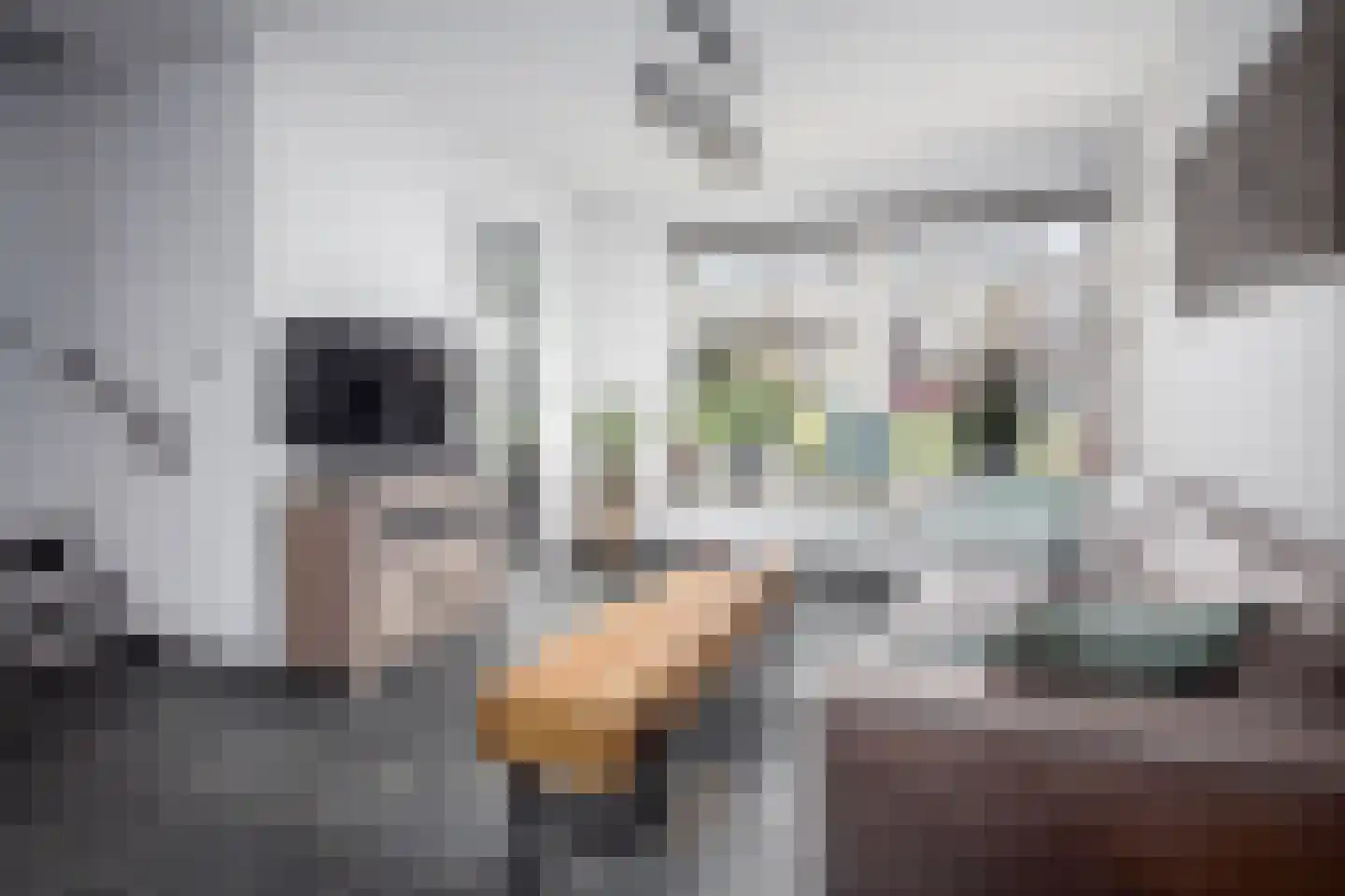 Korenmolenlaan 68 Bovenkarspel thumbnail 10