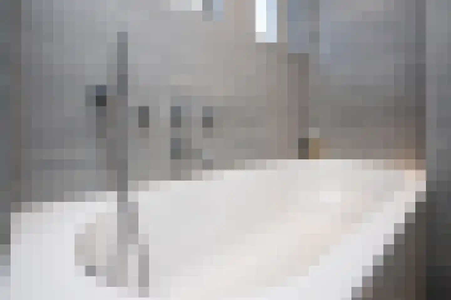 Korenmolenlaan 68 Bovenkarspel thumbnail 22