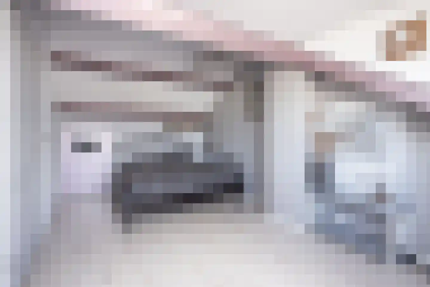 Korenmolenlaan 68 Bovenkarspel thumbnail 28