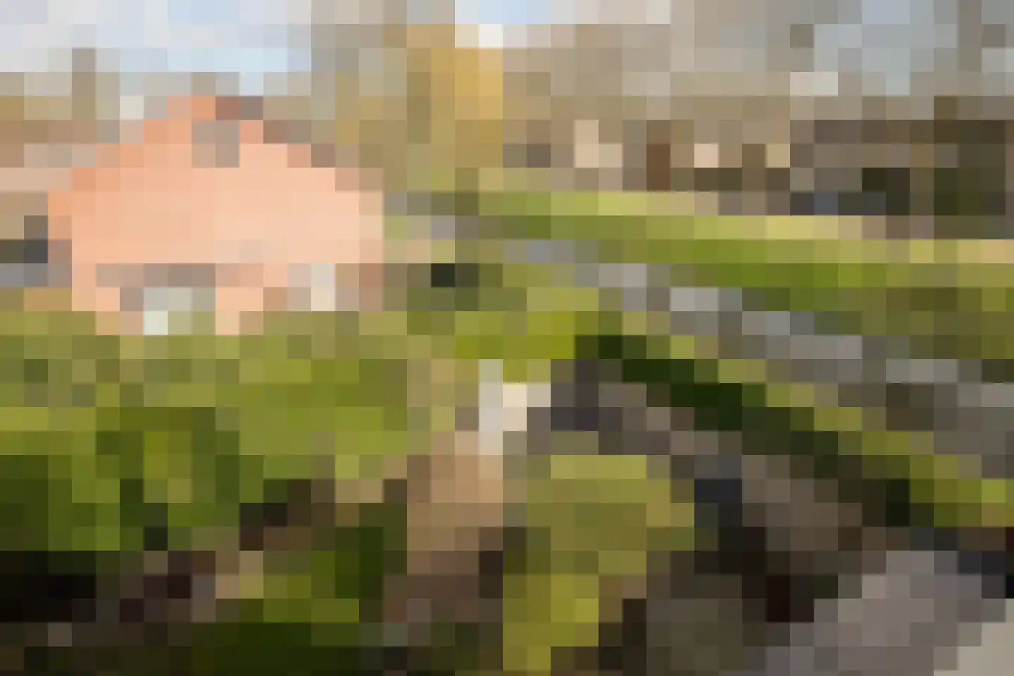Korenmolenlaan 68 Bovenkarspel thumbnail 30