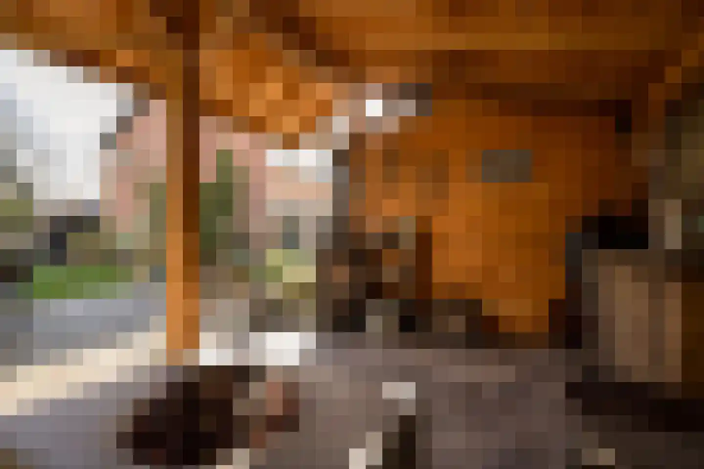 Korenmolenlaan 68 Bovenkarspel thumbnail 35