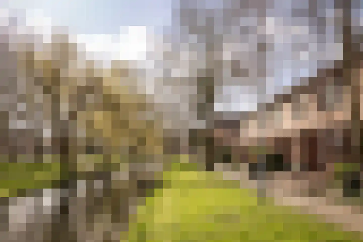 Korenmolenlaan 68 Bovenkarspel thumbnail 44
