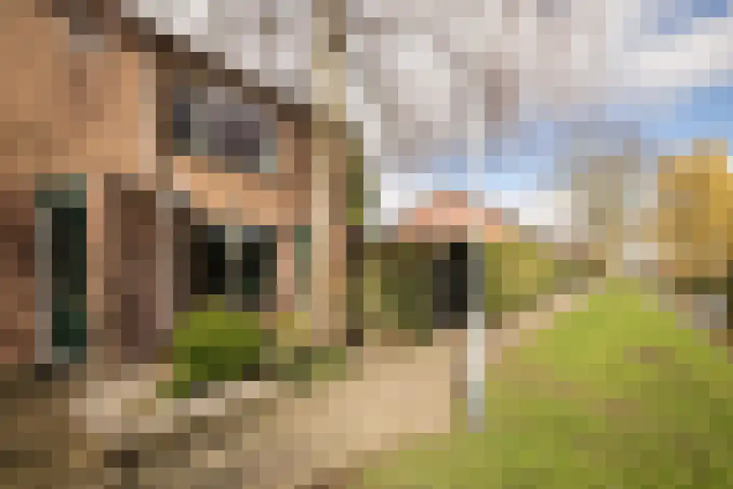 Korenmolenlaan 68 Bovenkarspel thumbnail 5