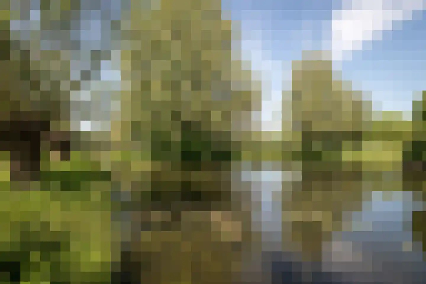 Korenmolenlaan 68 Bovenkarspel thumbnail 53
