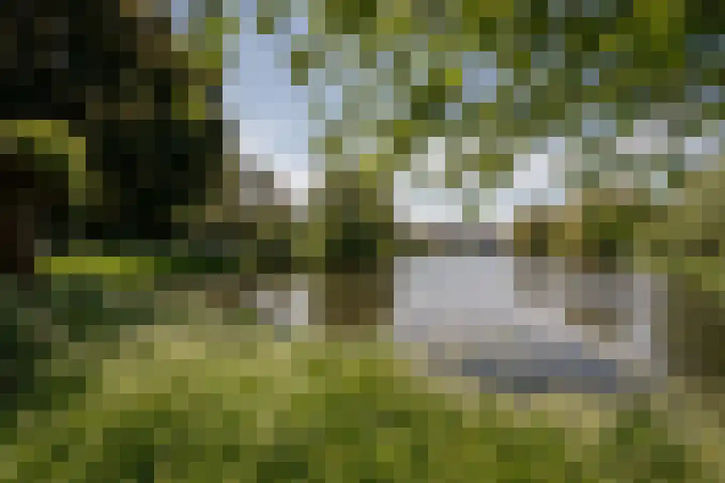 Korenmolenlaan 68 Bovenkarspel thumbnail 54