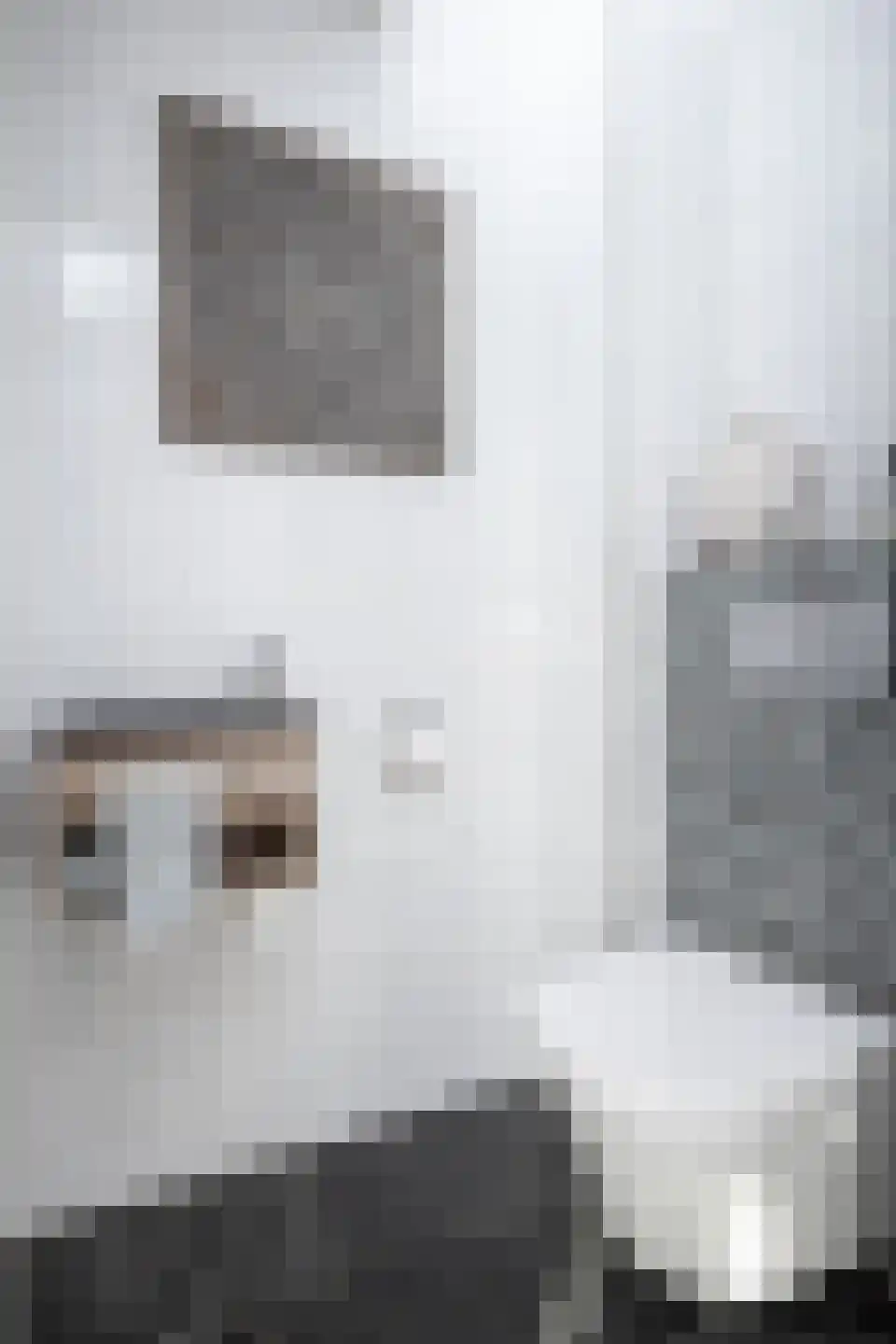 Korenmolenlaan 68 Bovenkarspel thumbnail 59