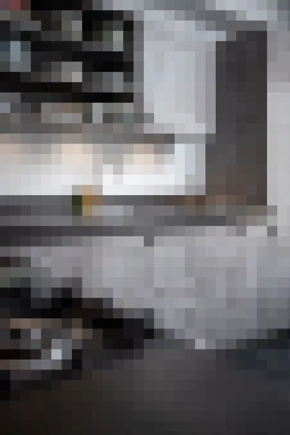 Korenmolenlaan 68 Bovenkarspel thumbnail 62